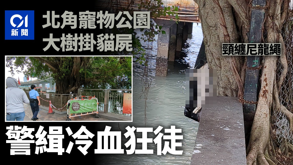 北角海濱花園寵物公園大樹掛貓屍 警列虐待動物 追緝冷血狂徒 北角海濱花園寵物公園大樹掛貓屍 警列虐待動物 追緝冷血狂徒