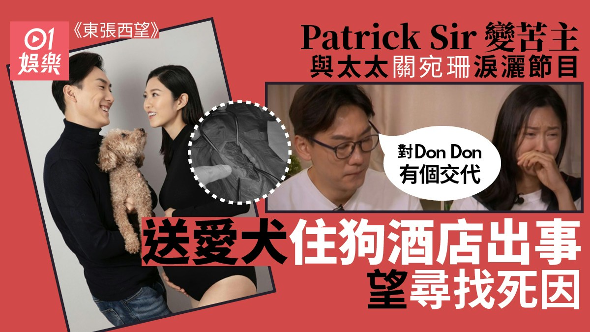東張西望｜Patrick Sir主持變苦主　與太太爆喊望尋找愛犬死因