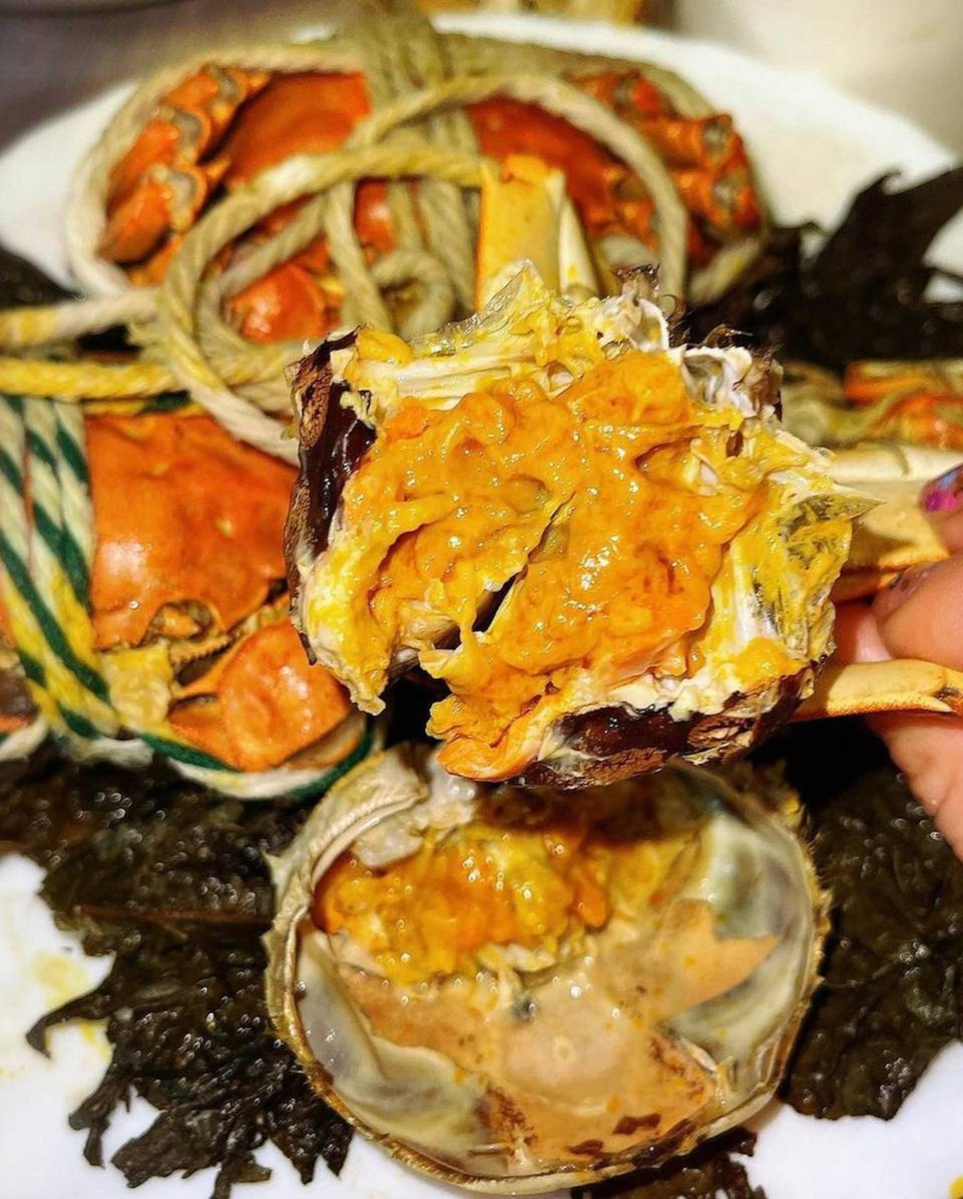 三陽泰|全城至低價時令大閘蟹(店方提供圖片) 三陽泰|全城至低價時令大閘蟹(店方提供圖片)