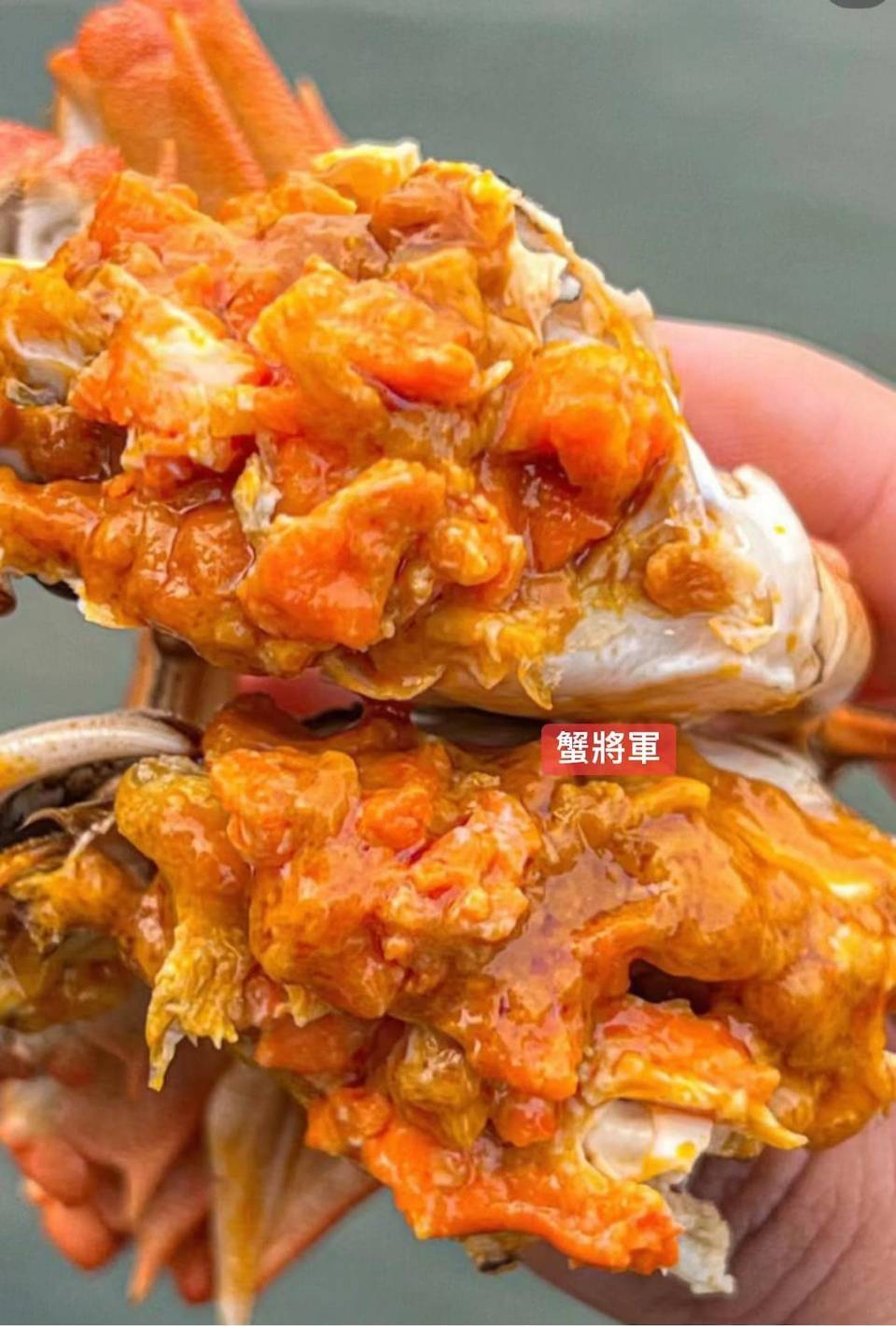 蟹將軍大閘蟹專門店|大閘蟹套餐+爆汁足料蟹粉餃子(店方提供圖片) 蟹將軍大閘蟹專門店|大閘蟹套餐+爆汁足料蟹粉餃子(店方提供圖片)