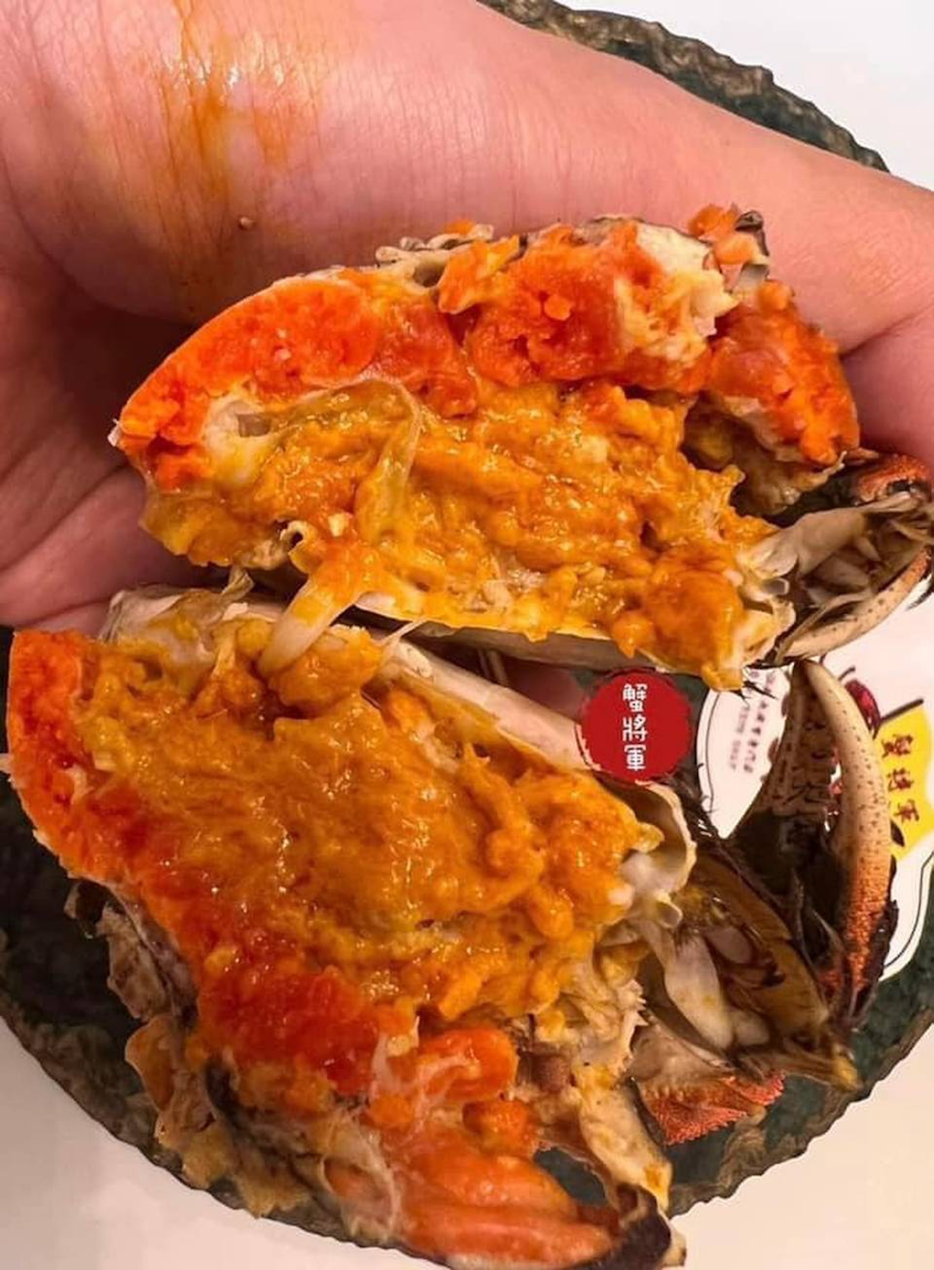 蟹將軍大閘蟹專門店|大閘蟹套餐+爆汁足料蟹粉餃子(店方提供圖片) 蟹將軍大閘蟹專門店|大閘蟹套餐+爆汁足料蟹粉餃子(店方提供圖片)