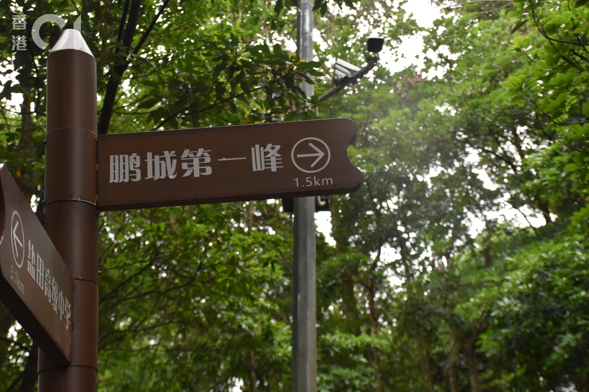 今次走出香港,介紹深圳的行山路線,上「鵬城第一峰」梧桐山。(顏銘輝攝) 今次走出香港,介紹深圳的行山路線,上「鵬城第一峰」梧桐山。(顏銘輝攝)