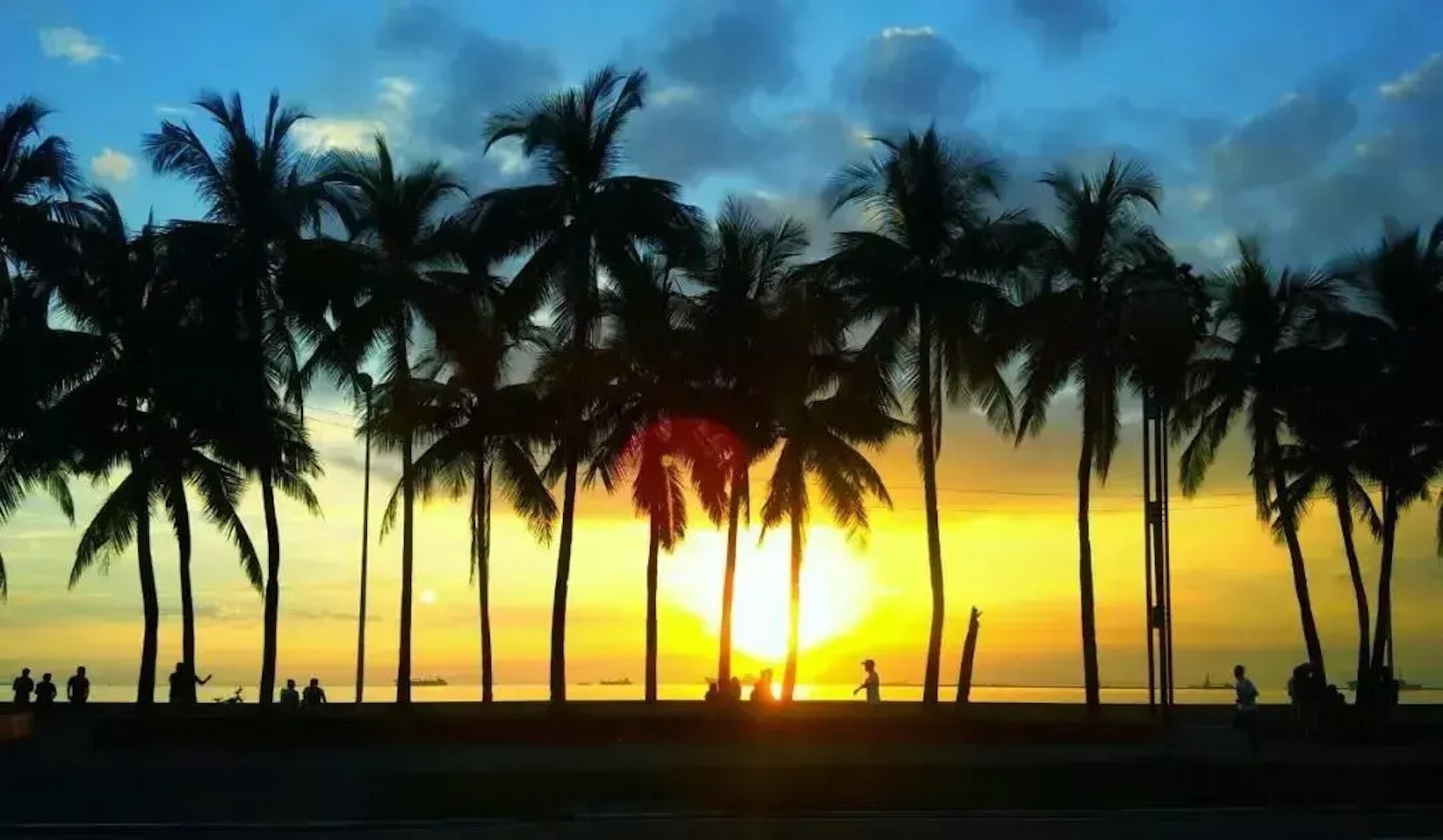 椰林日落大道(Roxas Boulevard)(網上圖片) 椰林日落大道(Roxas Boulevard)(網上圖片)