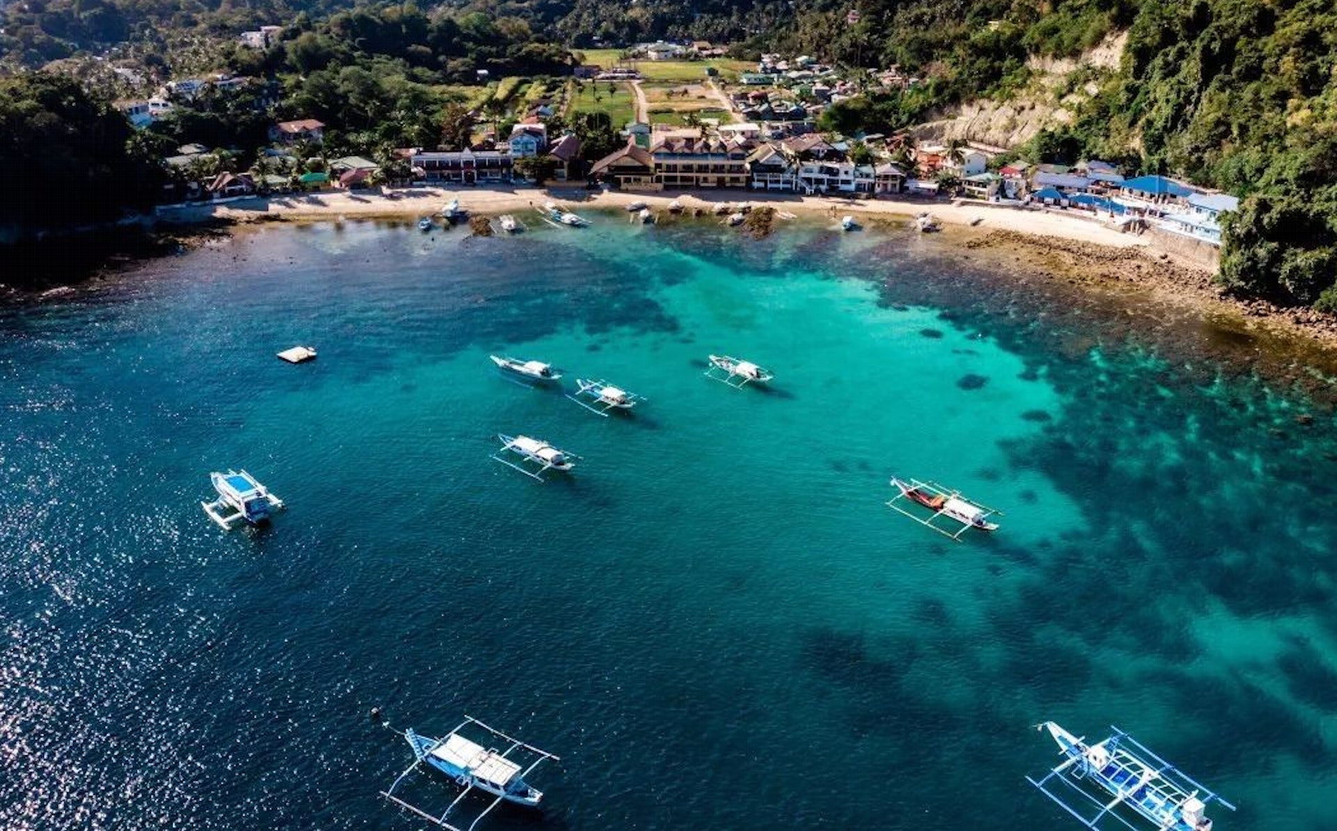 海豚灣(Puerto Galera)(hellodive網頁截圖) 海豚灣(Puerto Galera)(hellodive網頁截圖)