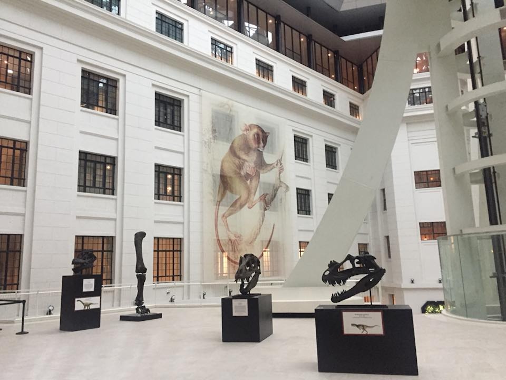 菲律賓國家博物館(Pambansang Museo ng Pilipinas)(菲律賓國家博物館官方圖片) 菲律賓國家博物館(Pambansang Museo ng Pilipinas)(菲律賓國家博物館官方圖片)