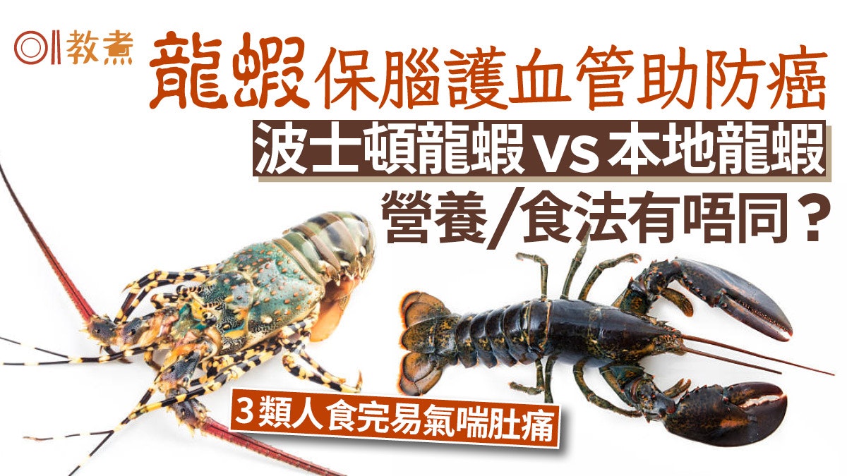龍蝦補腦護血管3類人忌食易氣喘肚瀉!波士頓/本地龍蝦有咩分別? 龍蝦補腦護血管3類人忌食易氣喘肚瀉!波士頓/本地龍蝦有咩分別?