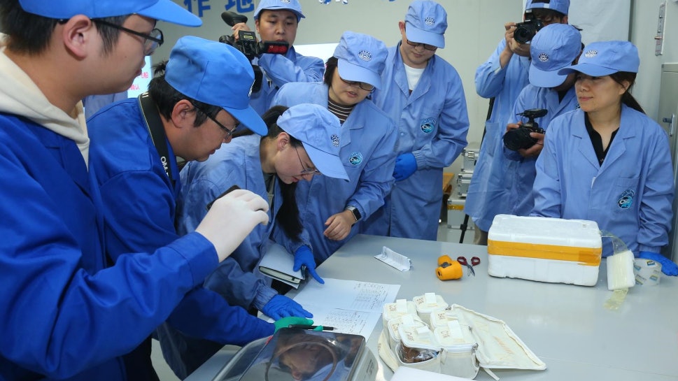 中國空間站第五批實驗樣品交付科學家 包括擬南芥植株等實驗樣本