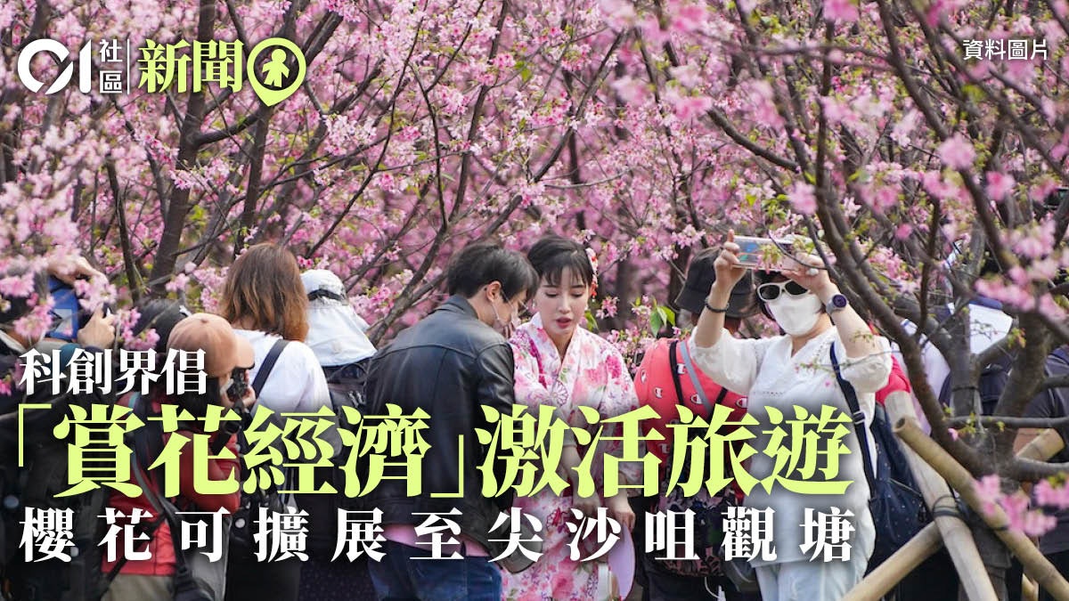 推動旅遊|科創界倡開放數據推動賞花經濟 廣種櫻花不限於東涌 推動旅遊|科創界倡開放數據推動賞花經濟 廣種櫻花不限於東涌