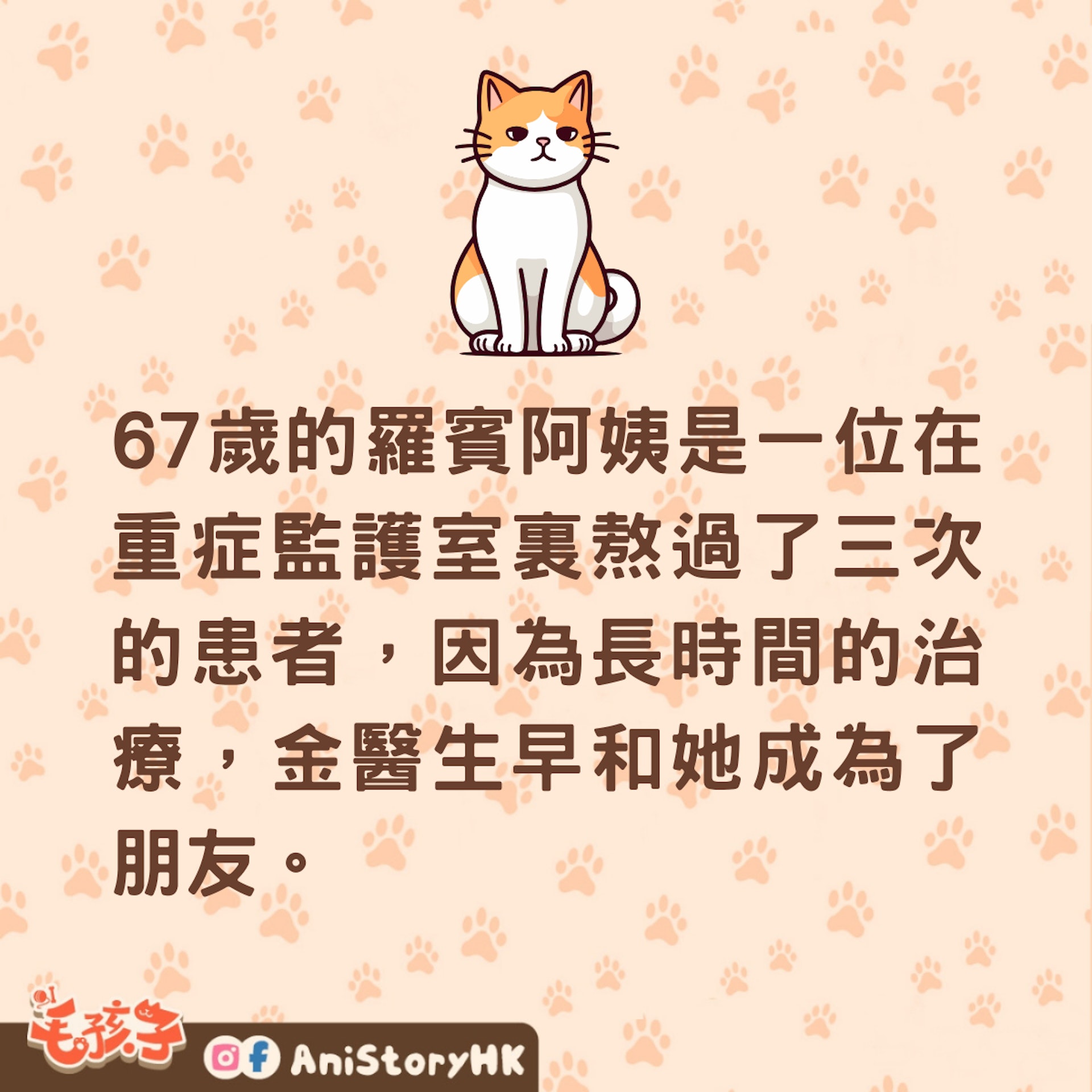 身體變差後,醫生建議她「養隻貓」! 貓咪:每人都有一隻貓,你在找我嗎?(01製圖) 身體變差後,醫生建議她「養隻貓」! 貓咪:每人都有一隻貓,你在找我嗎?(01製圖)