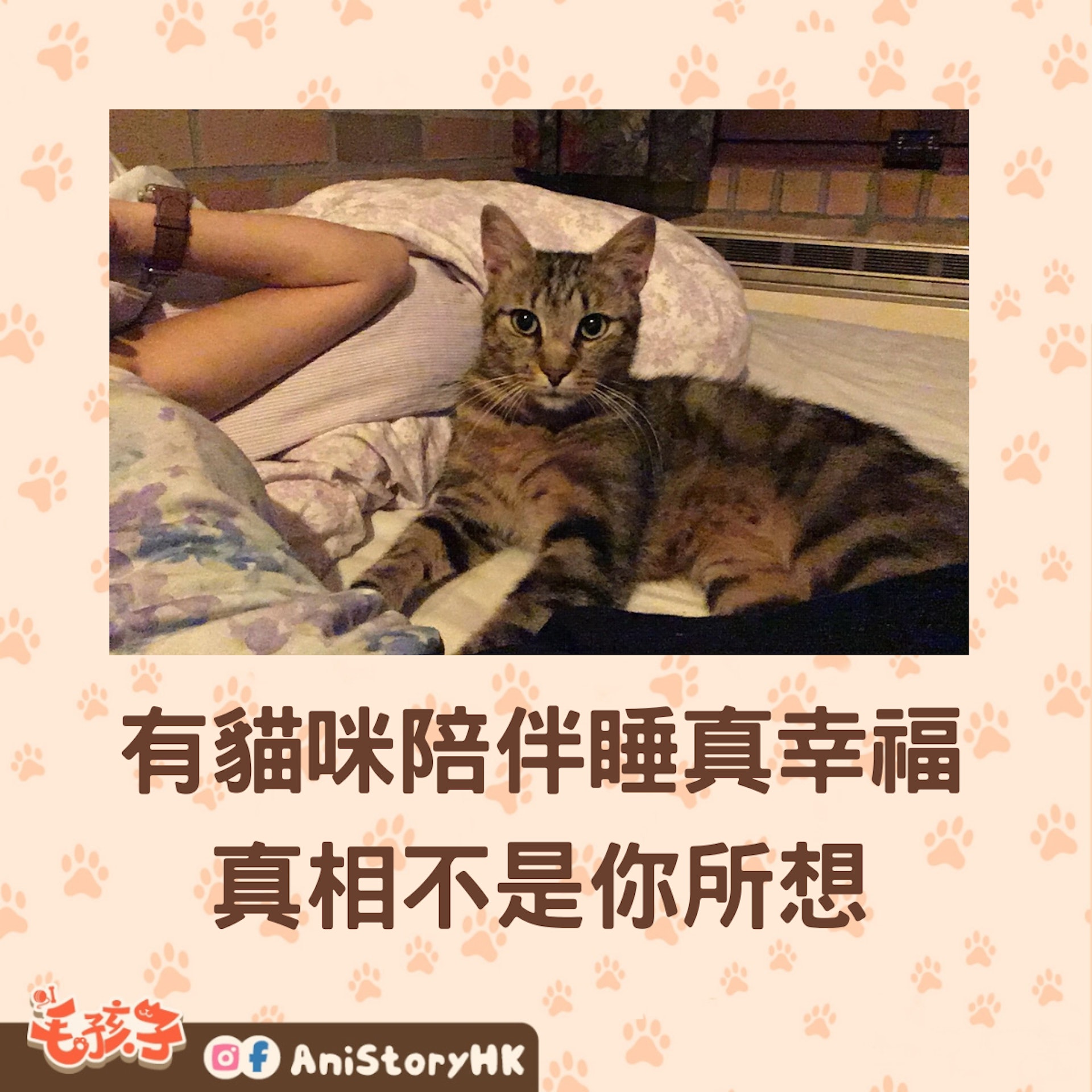 一 一