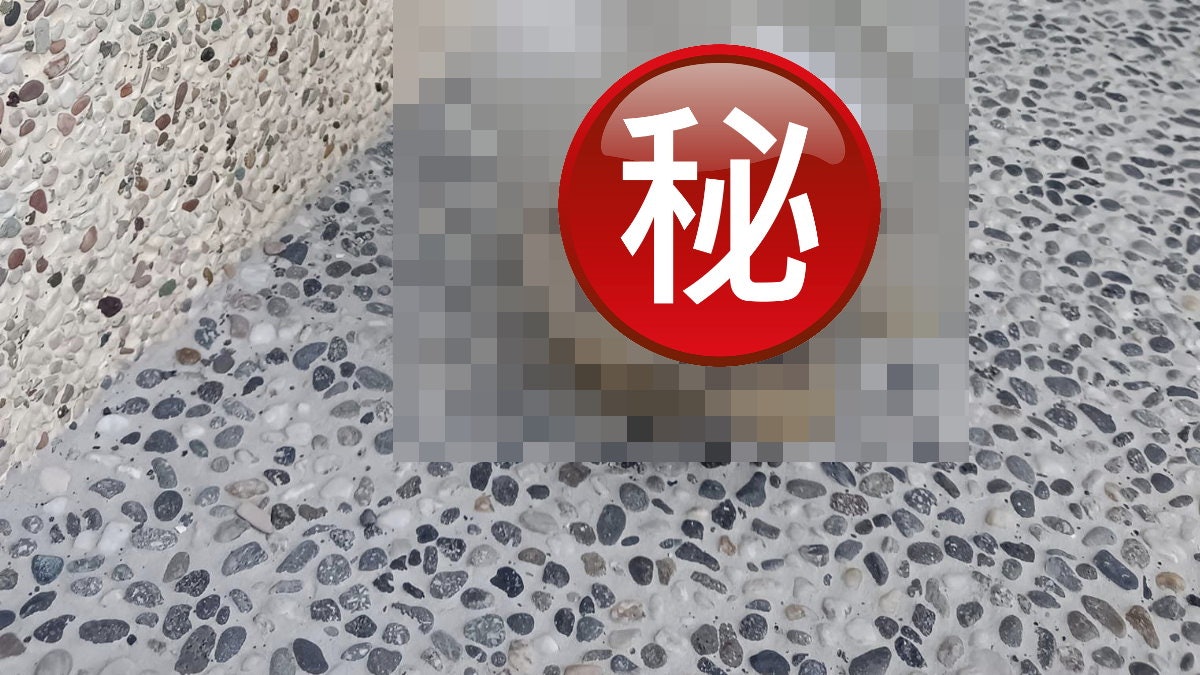 「膠樽殺曱甴秘術」實測1晚消滅10多隻 不用親手作戰 清理簡單 「膠樽殺曱甴秘術」實測1晚消滅10多隻 不用親手作戰 清理簡單