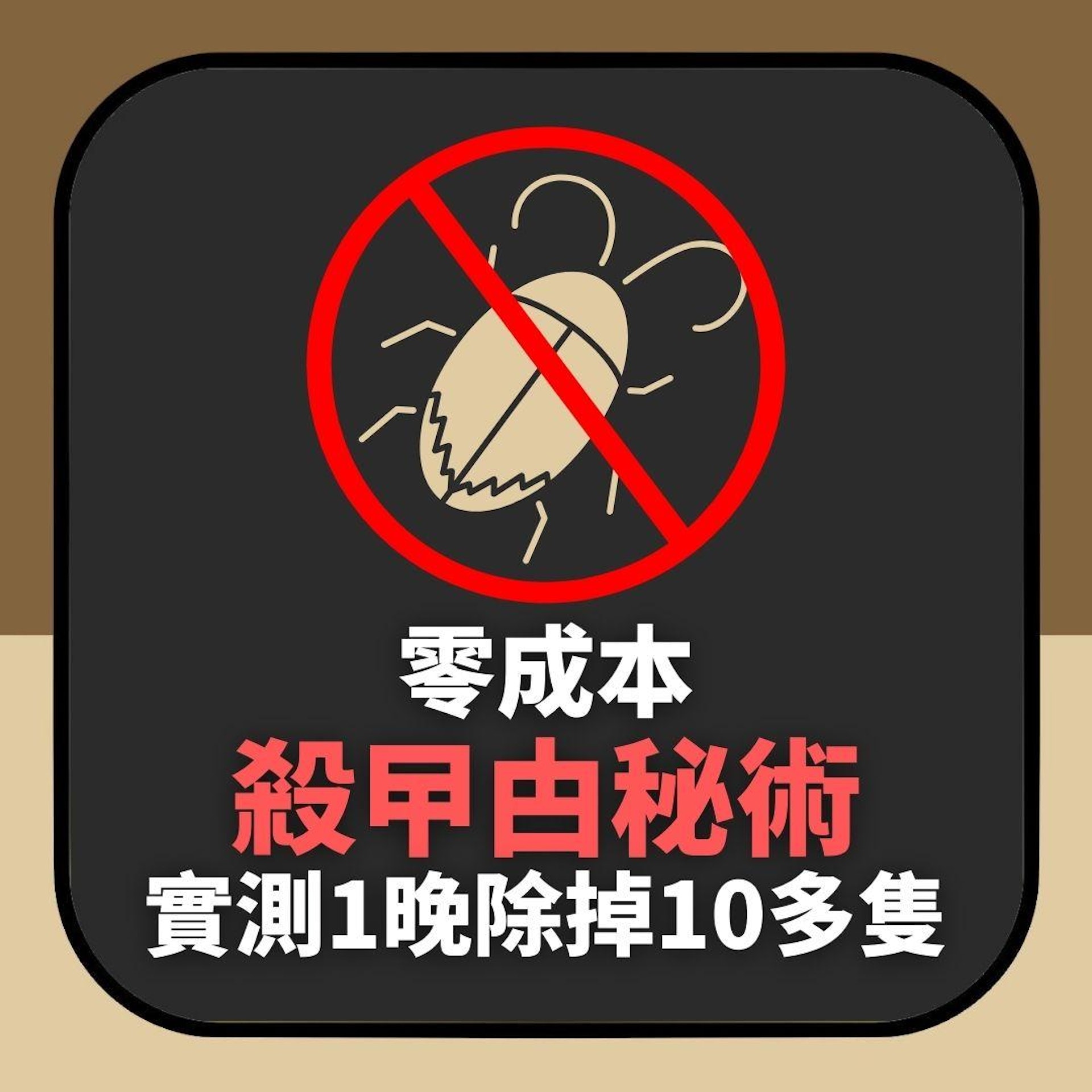 「零成本殺曱甴秘術」實測1晚除掉10多隻 網民狂讚:這招厲害!(01製圖) 「零成本殺曱甴秘術」實測1晚除掉10多隻 網民狂讚:這招厲害!(01製圖)