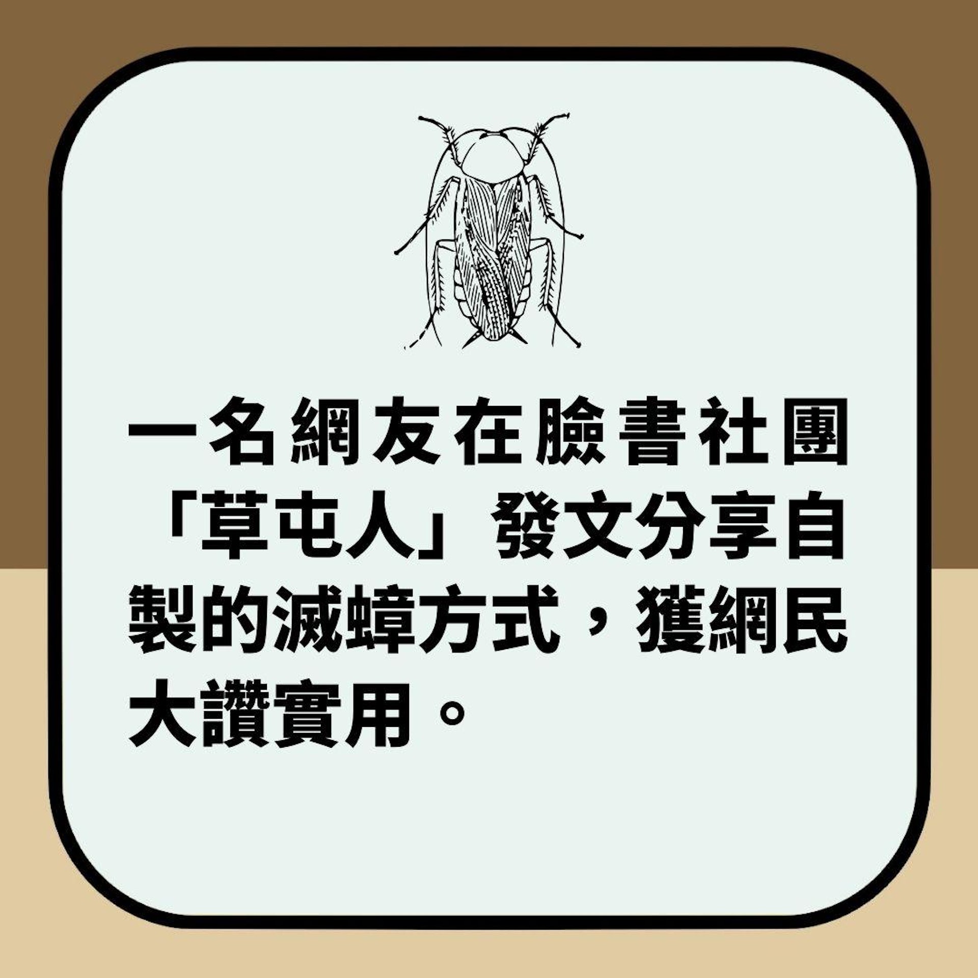 「零成本殺曱甴秘術」實測1晚除掉10多隻 網民狂讚:這招厲害!(01製圖) 「零成本殺曱甴秘術」實測1晚除掉10多隻 網民狂讚:這招厲害!(01製圖)