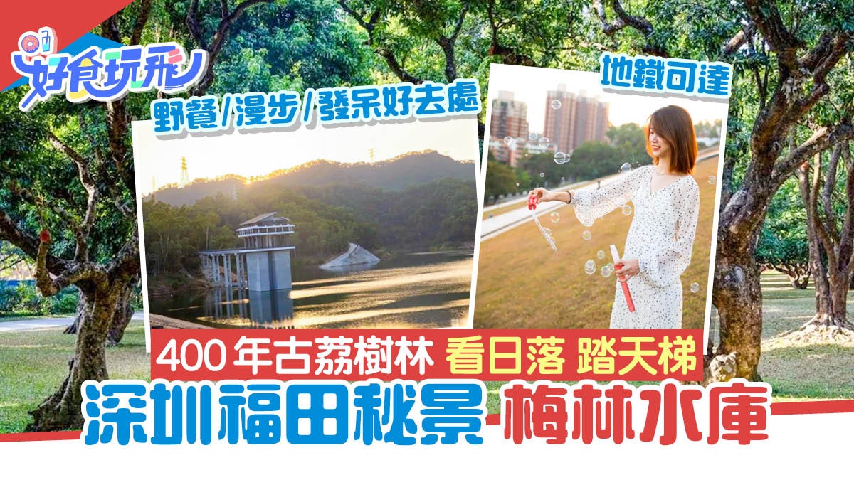 深圳福田景點|梅林水庫地鐵可達 漫步古荔樹林看日落踏天梯 深圳福田景點|梅林水庫地鐵可達 漫步古荔樹林看日落踏天梯