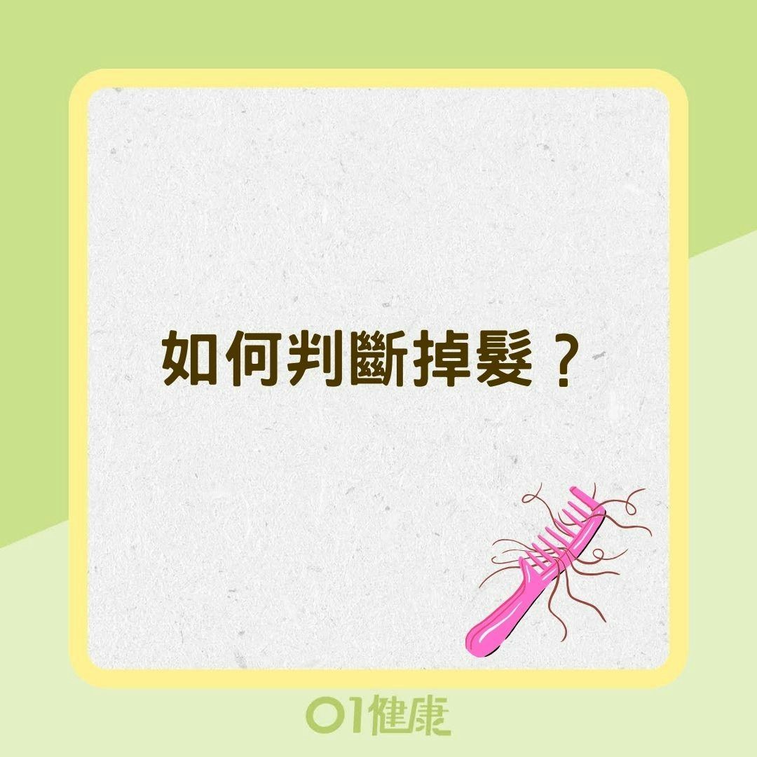 如何判斷掉髮？（01製圖）