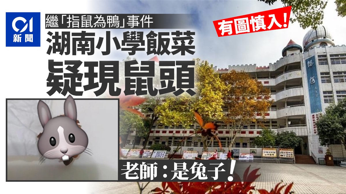 湖南小學餐點吃出疑似老鼠頭 牙齒、白毛清晰可見 老師:是兔子 湖南小學餐點吃出疑似老鼠頭 牙齒、白毛清晰可見 老師:是兔子