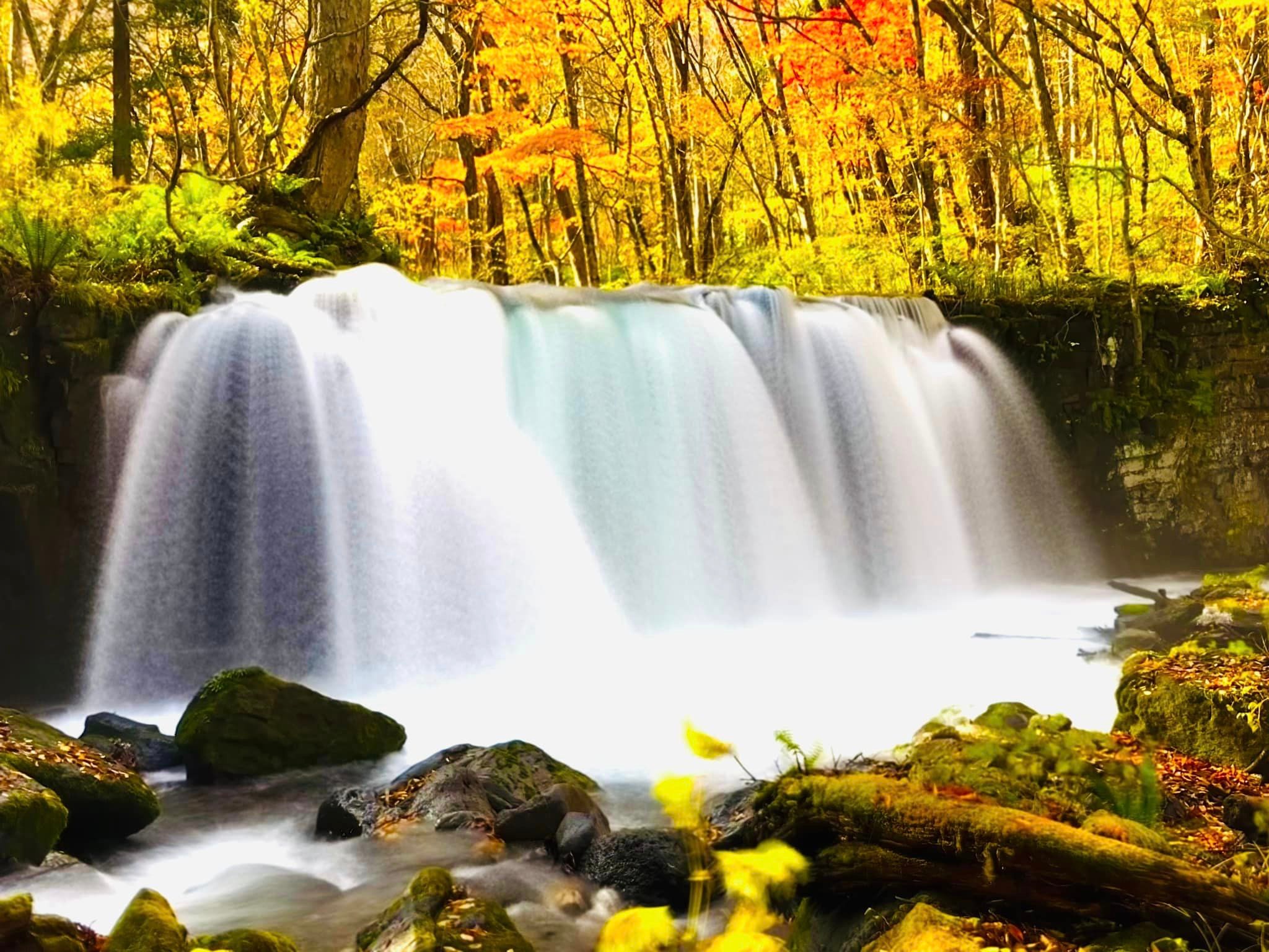 奧入瀨溪流(圖片授權:FB@Tai Wei Chang) 奧入瀨溪流(圖片授權:FB@Tai Wei Chang)