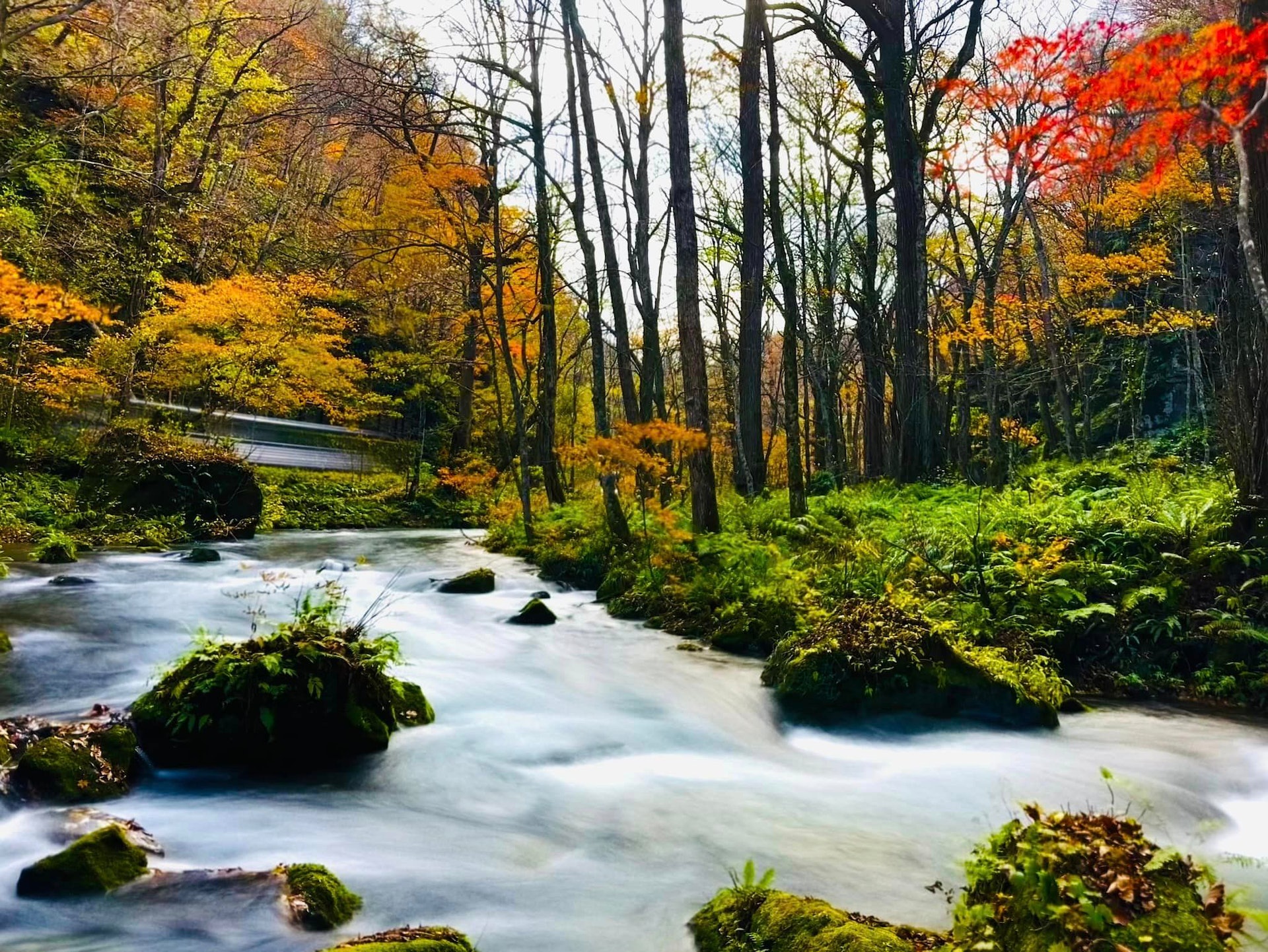 奧入瀨溪流(圖片授權:FB@Tai Wei Chang) 奧入瀨溪流(圖片授權:FB@Tai Wei Chang)