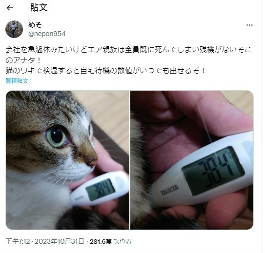 射波神器！「無痛發燒」詐病請假？ 貓咪腋下測出這溫度震驚全網