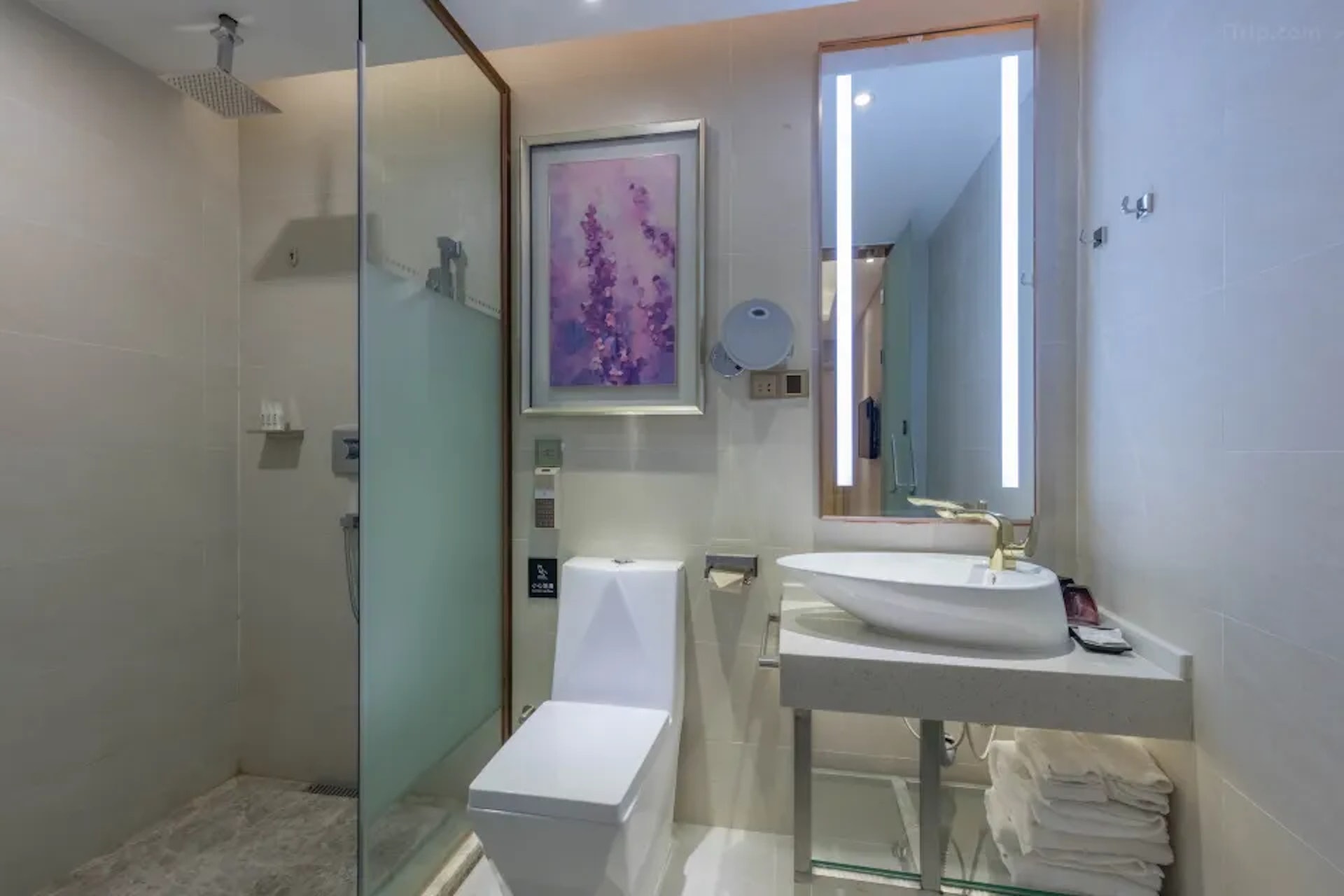 麗楓酒店江門鶴山汽車總站店(Lavande Hotels·Heshan Bus Terminal)(圖片來源:Agoda) 麗楓酒店江門鶴山汽車總站店(Lavande Hotels·Heshan Bus Terminal)(圖片來源:Agoda)