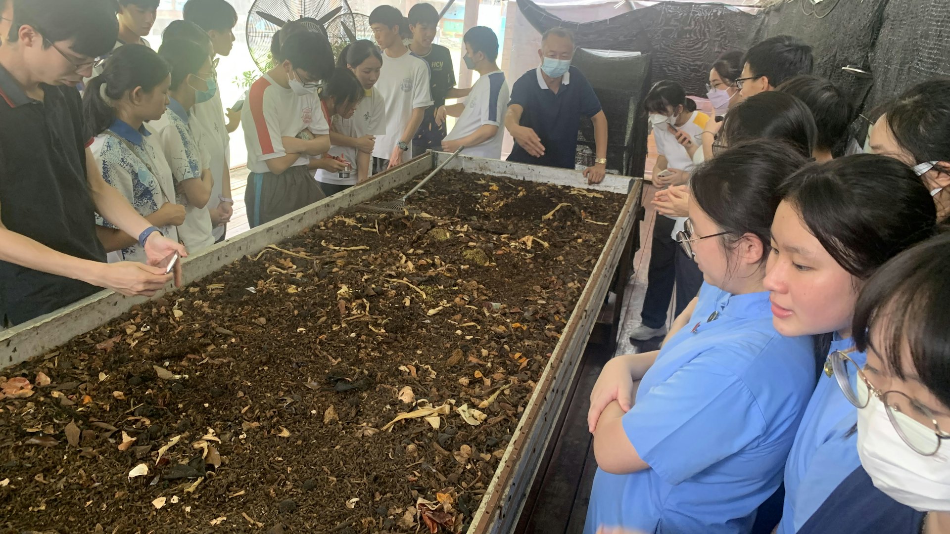 環保署延長黑水虻處理雞廢料半年 8月開始試「共厭氧消化」技術 環保署延長黑水虻處理雞廢料半年 8月開始試「共厭氧消化」技術