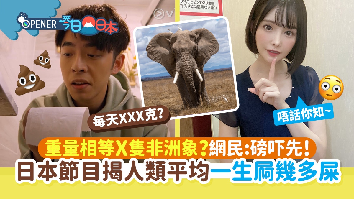 日本節目揭人類平均一生排便量相等X隻非洲象網民震驚：磅吓先