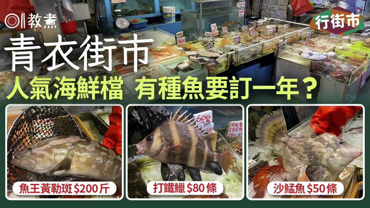 行街市|青衣街市海鮮檔尋找罕有黃勒斑/打鐵鱲 1種魚要預訂1年? 行街市|青衣街市海鮮檔尋找罕有黃勒斑/打鐵鱲 1種魚要預訂1年?