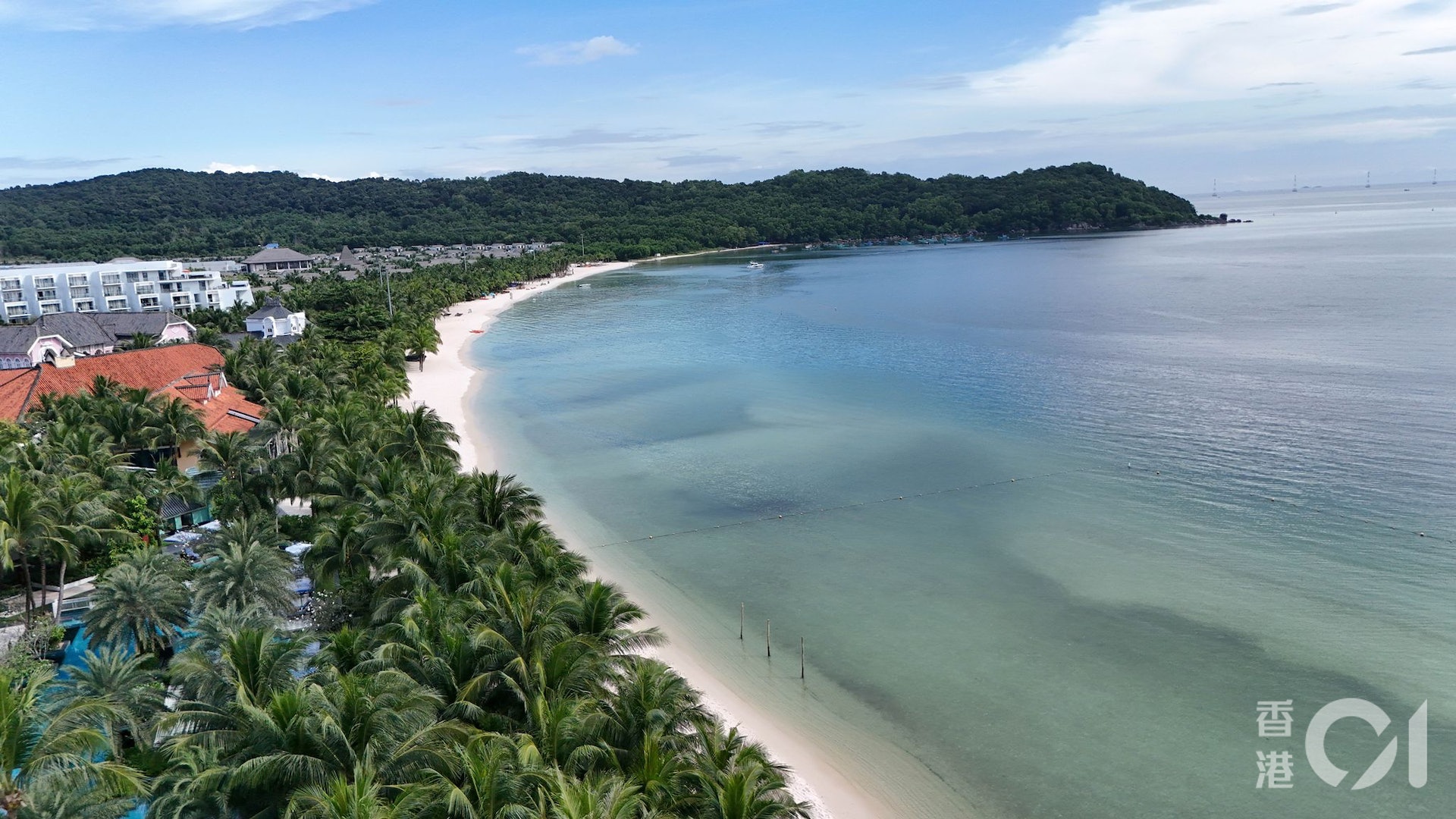 (張旭珠攝) (張旭珠攝)