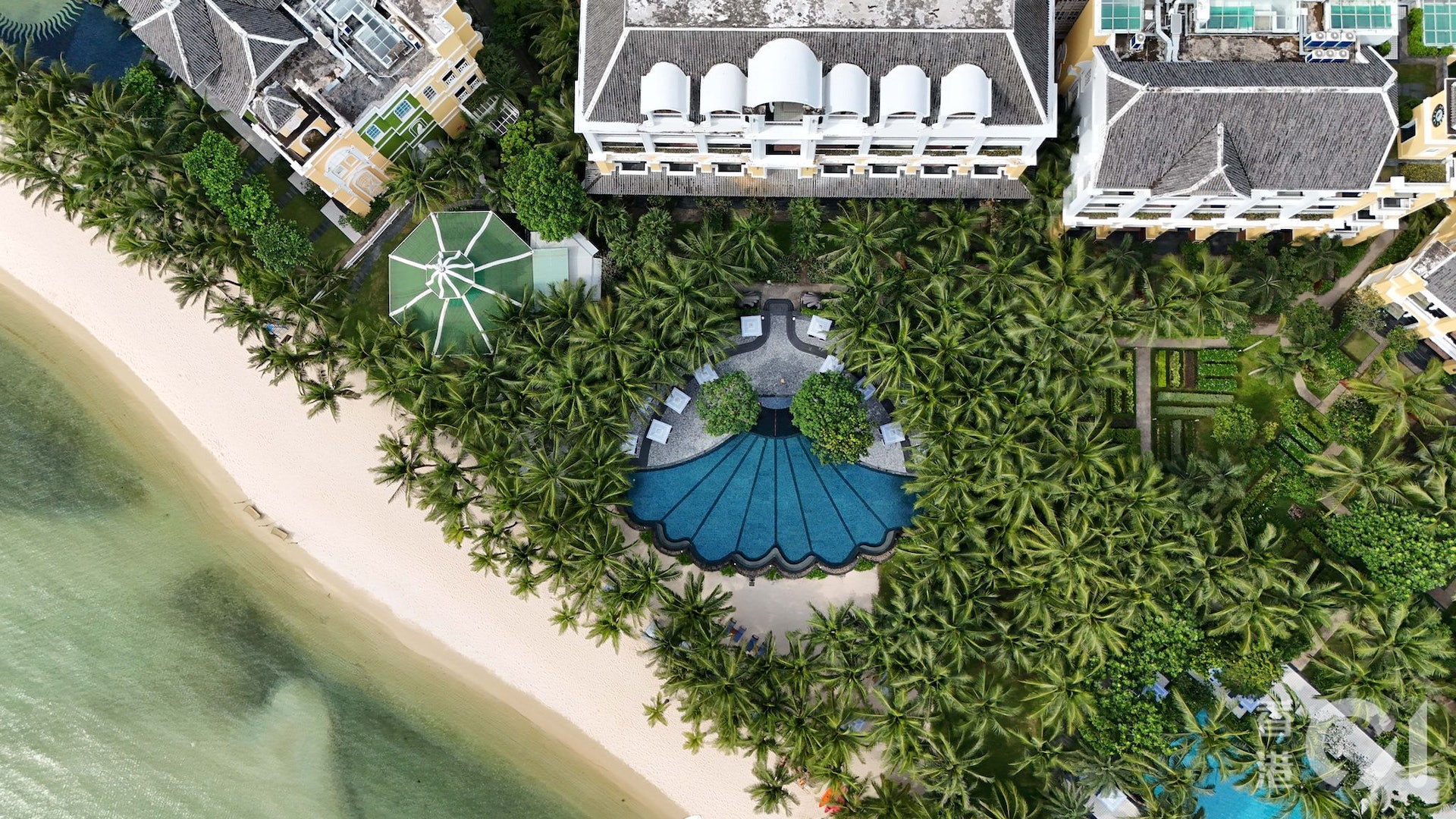 (張旭珠攝) (張旭珠攝)