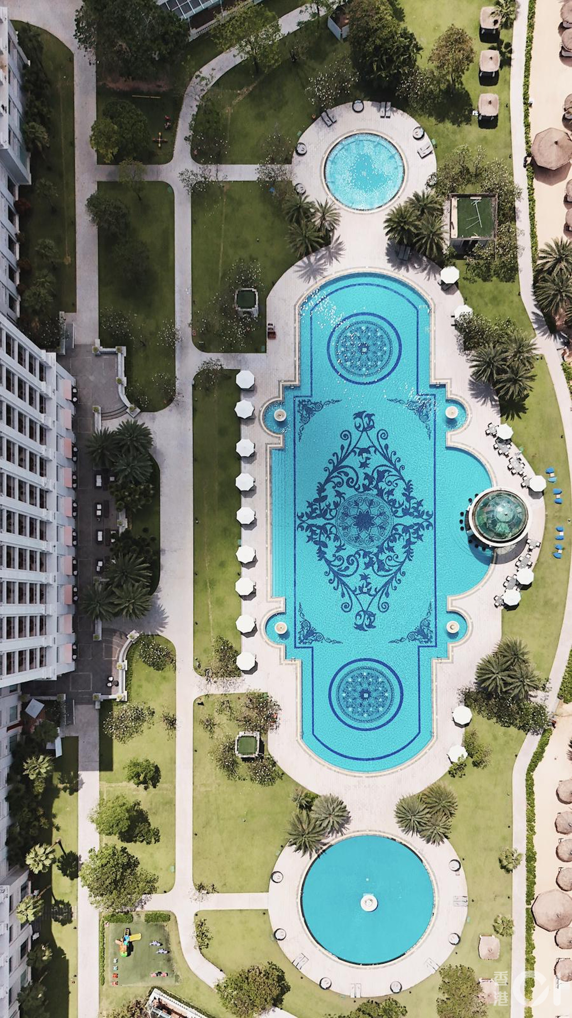 (張旭珠攝) (張旭珠攝)