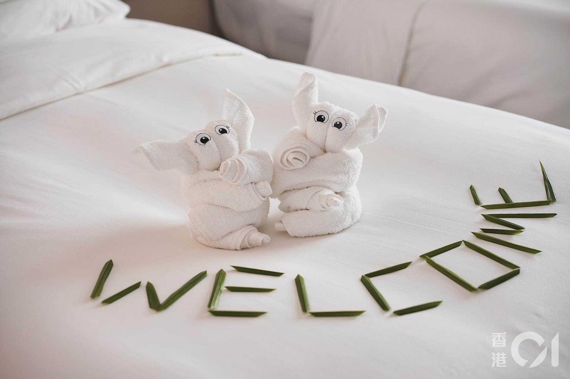 (張旭珠攝) (張旭珠攝)