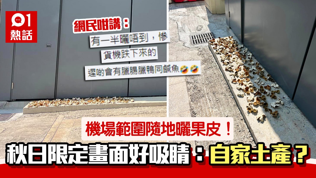 機場範圍驚見大堆果皮隨地曬!旁邊疑為地盤 職員:陳皮變塵皮? 機場範圍驚見大堆果皮隨地曬!旁邊疑為地盤 職員:陳皮變塵皮?