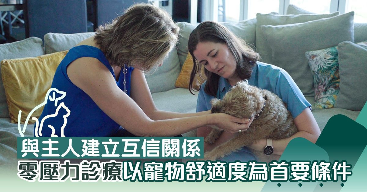 上門獸醫紓解寵物焦慮 Creature Comforts全方位護理保障寵物健康