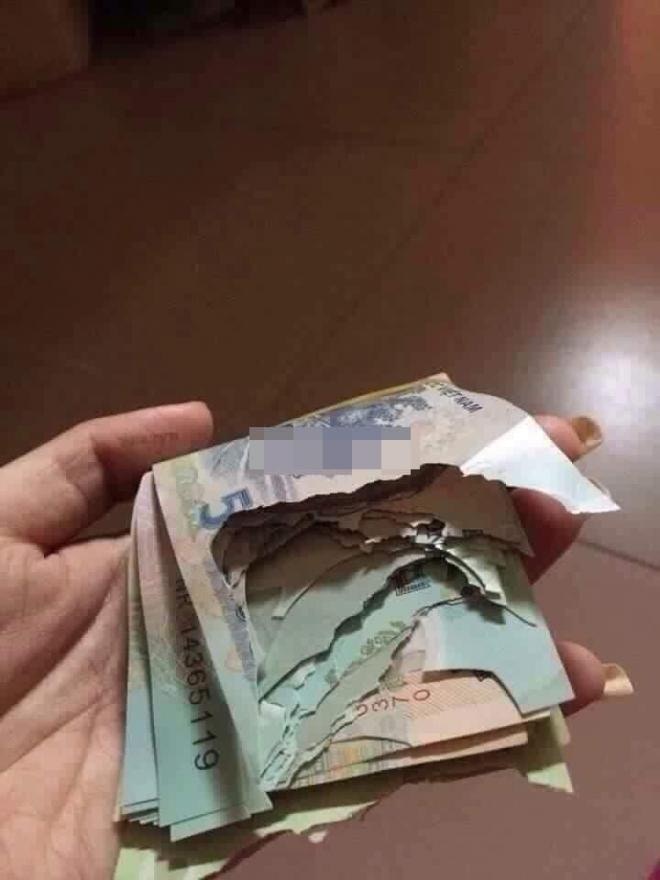 越南人夫的私己錢被老鼠咬爛。（網上圖片）