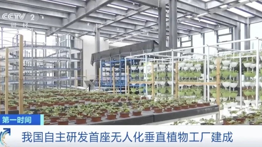 中國自主研發首座無人化垂直植物工廠投用 20層「高樓」如何種菜? 中國自主研發首座無人化垂直植物工廠投用 20層「高樓」如何種菜?