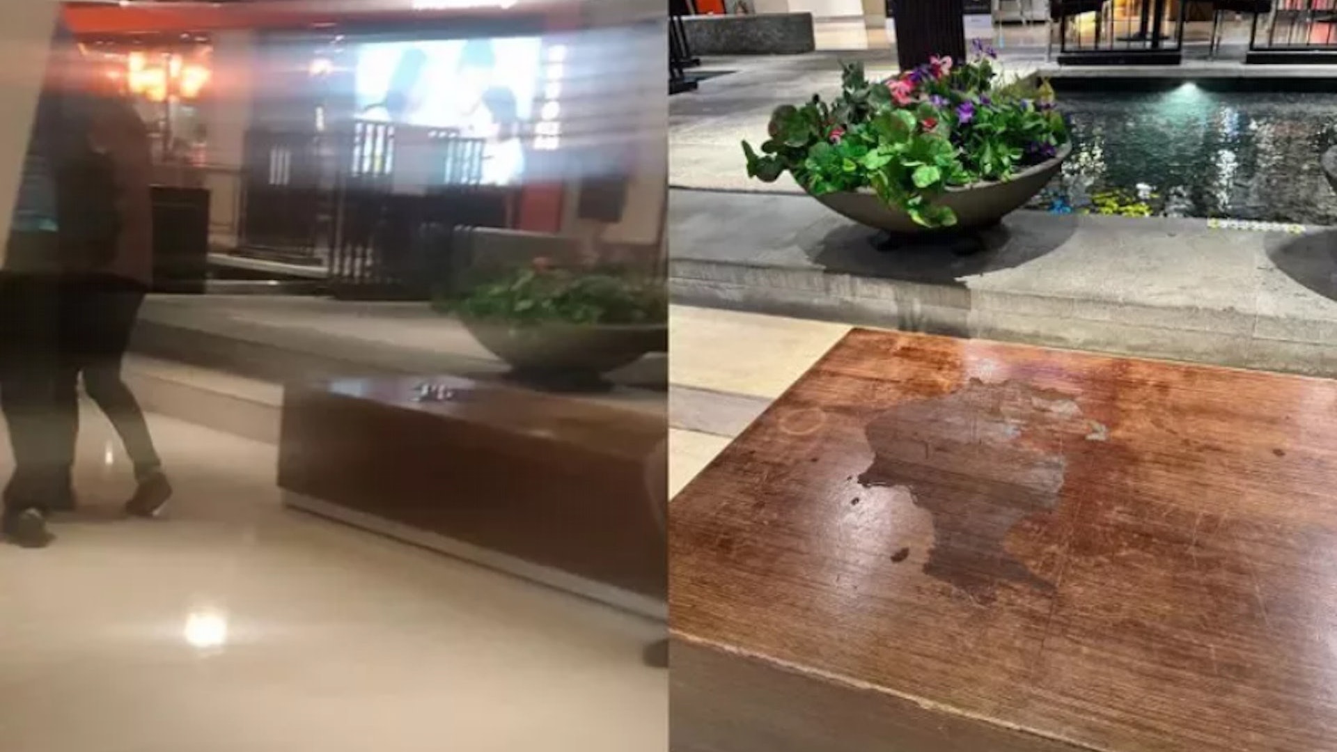 台北缺德家長任由孩子在百貨公司椅子小便 竟稱:沒關係有人會擦 台北缺德家長任由孩子在百貨公司椅子小便 竟稱:沒關係有人會擦