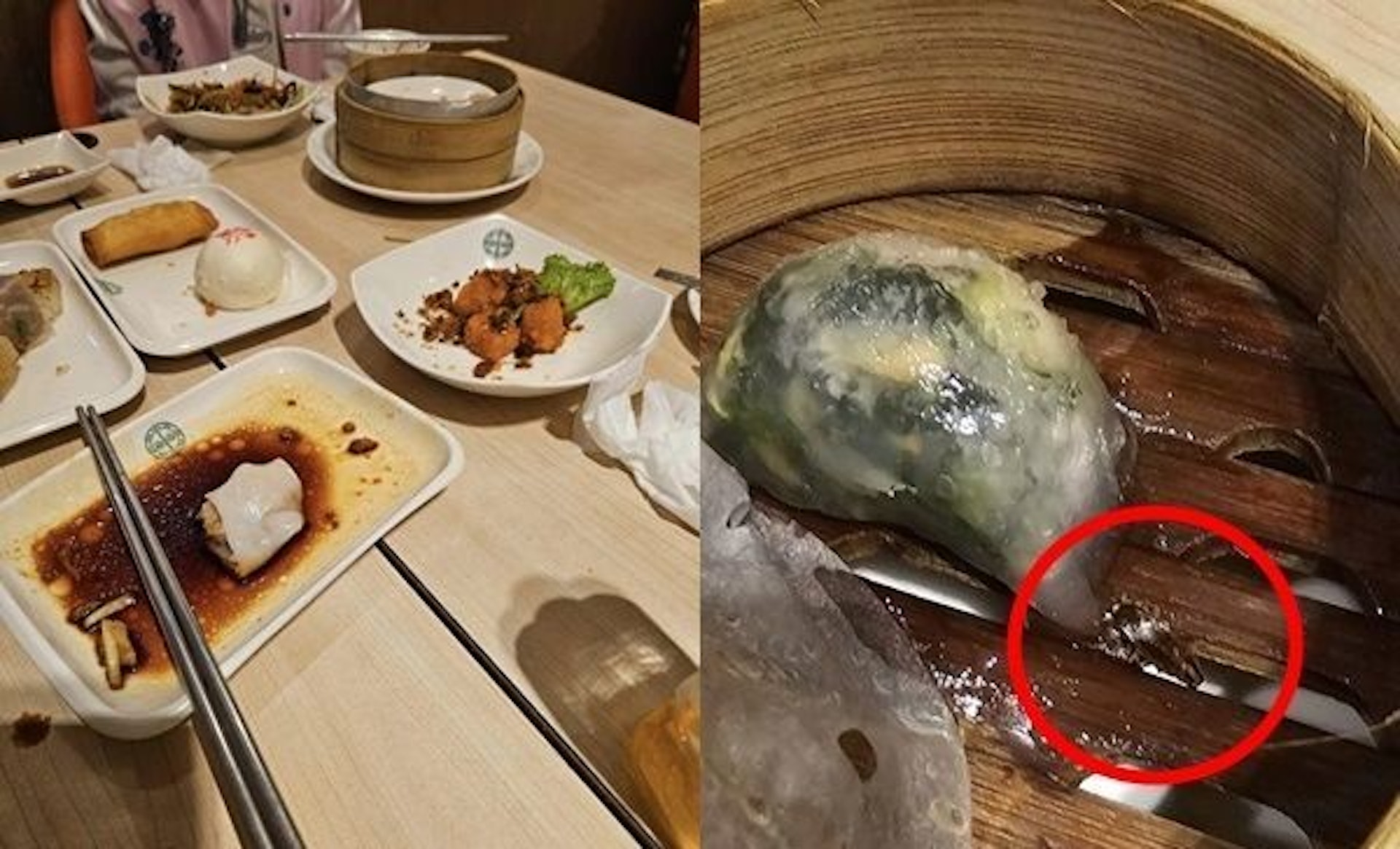 近日有網友到「添好運」台南一家分店用餐,卻發現蒸籠裏有蟑螂,多次反映後才有主管出面道歉,並補償當次消費全數免單。(網絡圖片) 近日有網友到「添好運」台南一家分店用餐,卻發現蒸籠裏有蟑螂,多次反映後才有主管出面道歉,並補償當次消費全數免單。(網絡圖片)