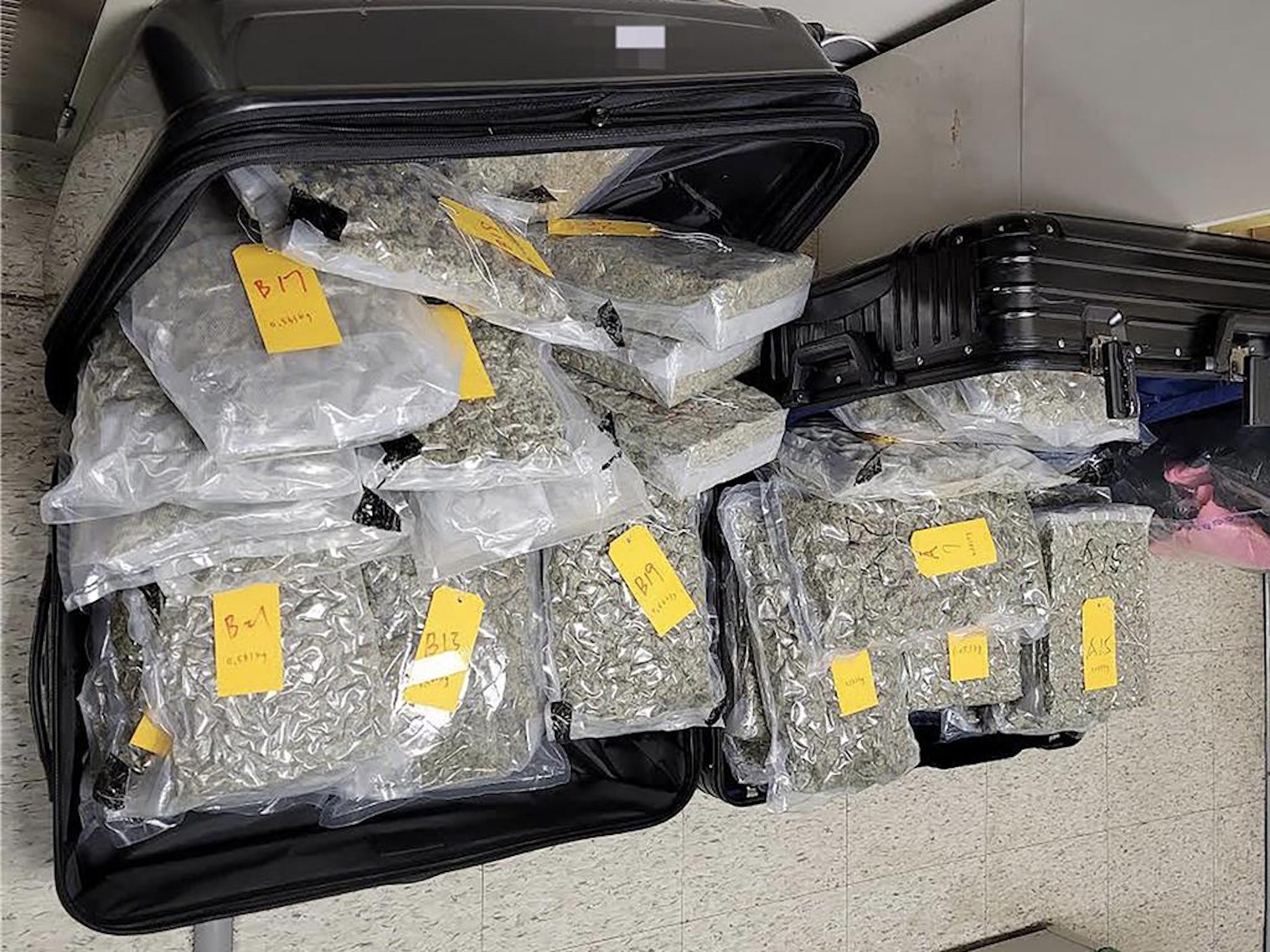 被查獲的大麻共39袋,總重逾27公斤。(台灣航空警察局) 被查獲的大麻共39袋,總重逾27公斤。(台灣航空警察局)