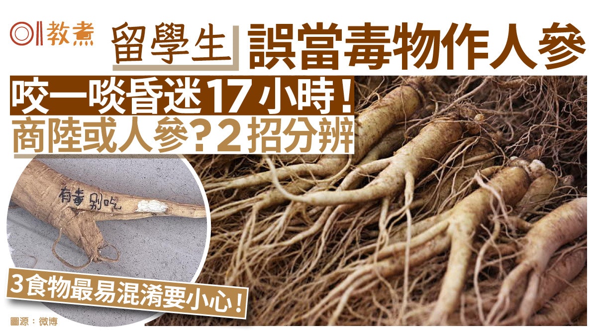 留學生1啖「假人參」昏迷17小時!2招分真偽 3食物最混淆小心中毒 留學生1啖「假人參」昏迷17小時!2招分真偽 3食物最混淆小心中毒