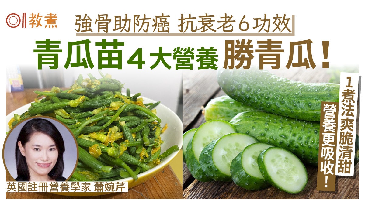 青瓜苗營養|健骨抗衰老6功效 4種營養勝青瓜!1種煮法爽脆易吸收 青瓜苗營養|健骨抗衰老6功效 4種營養勝青瓜!1種煮法爽脆易吸收