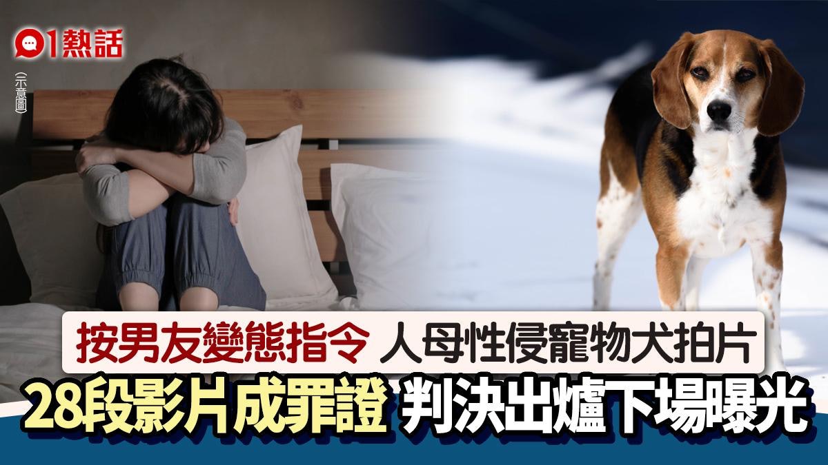 人獸交!按變態男友指令 人母性侵寵物犬拍28段短片 判決出爐 人獸交!按變態男友指令 人母性侵寵物犬拍28段短片 判決出爐