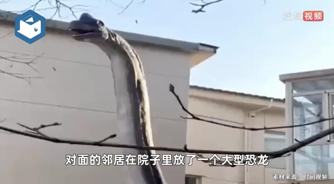 鄰居佟先生表示，恐龍正對著他家，令他覺得很有壓迫感。（時間視頻）