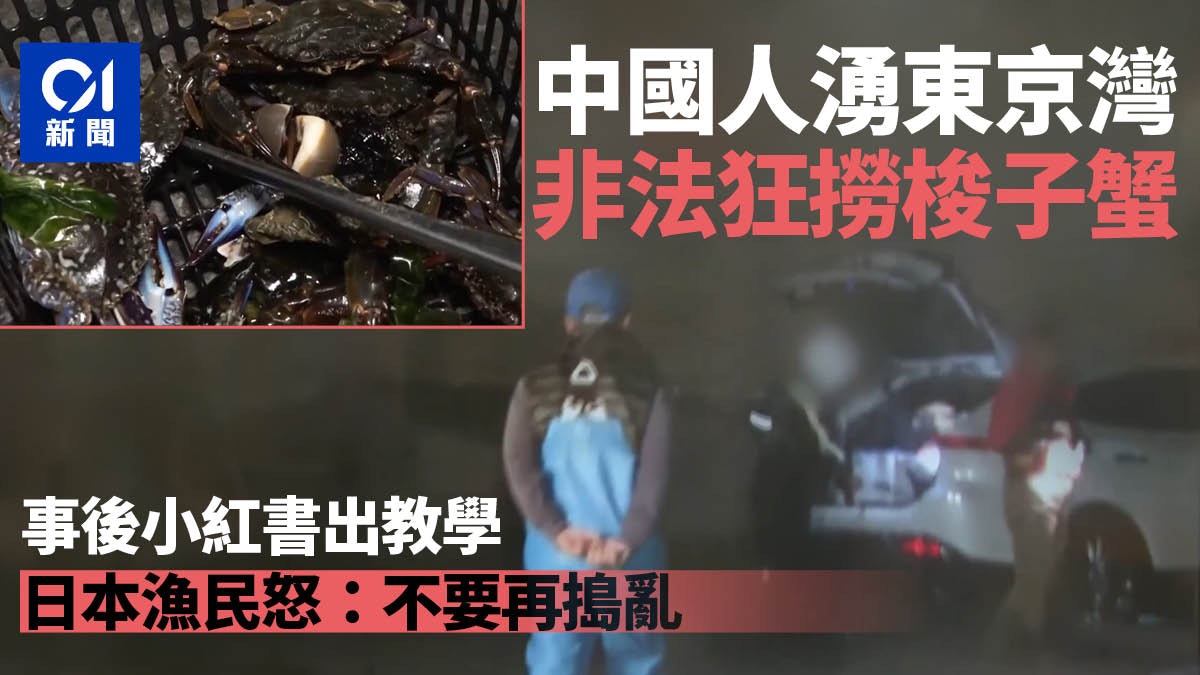 中國人湧入東京灣「非法狂撈梭子蟹」小紅書貼教學 日本漁民怒斥 中國人湧入東京灣「非法狂撈梭子蟹」小紅書貼教學 日本漁民怒斥