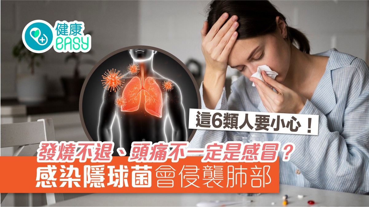 隱球菌｜發燒不退、喘咳症狀與感冒類似！年長、免疫低下者易感染