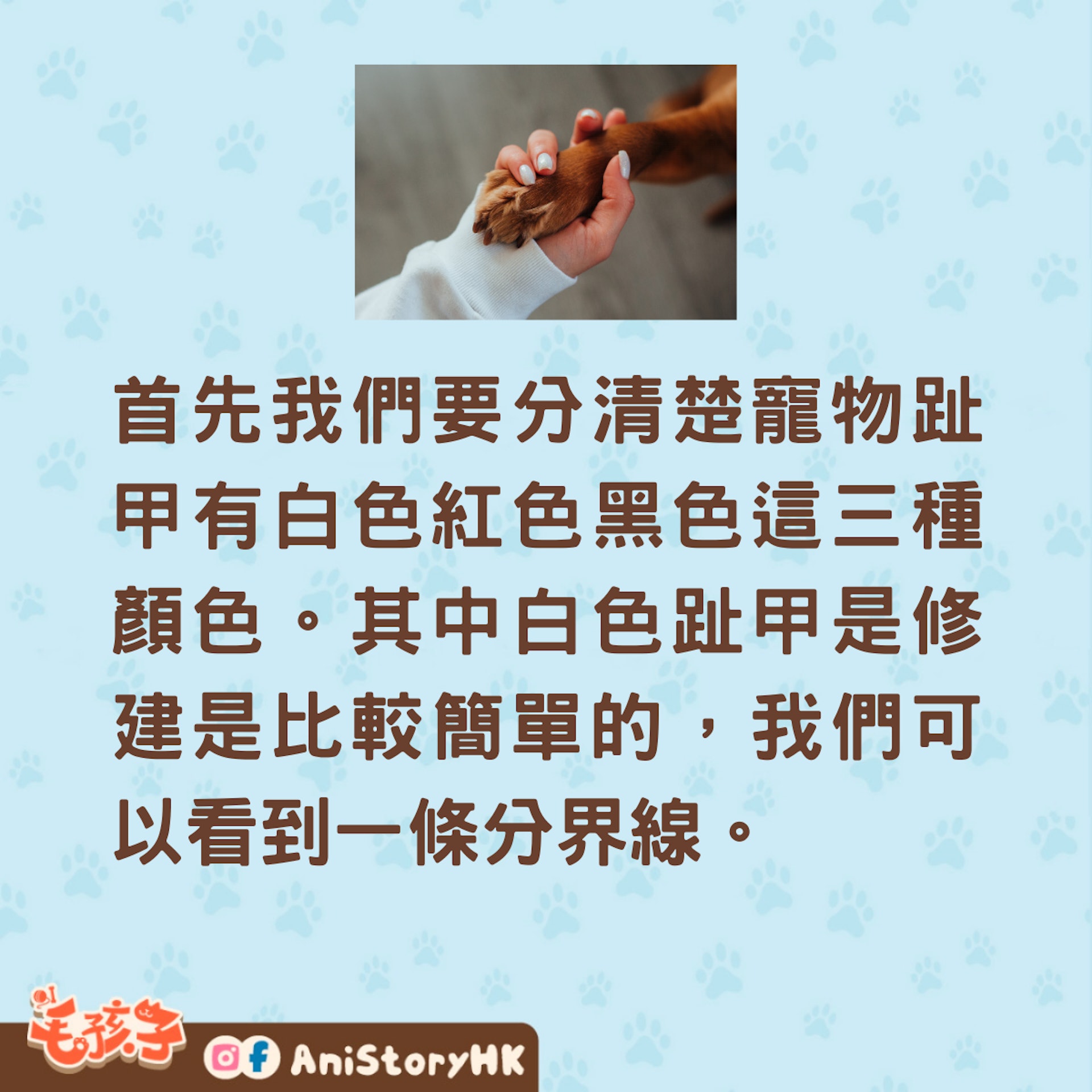 怎麼給狗狗剪指甲?(01製圖) 怎麼給狗狗剪指甲?(01製圖)