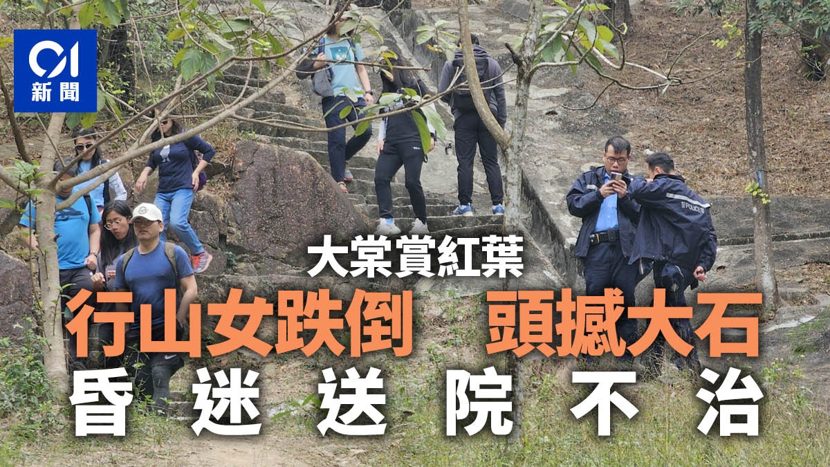 六旬行山客往大棠觀紅葉　大棠山道樓梯仆倒撼石傷　昏迷送院不治