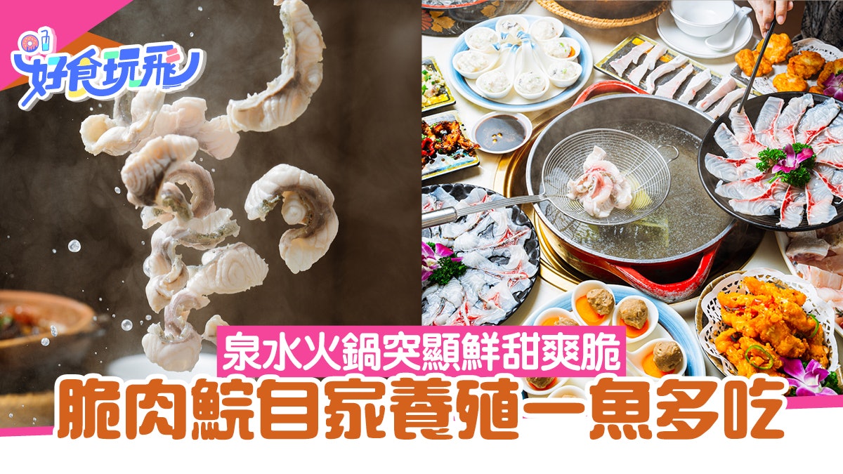 深圳福田美食|脆肉鯇自家養殖一魚多吃 泉水火鍋突顯鮮甜爽脆 深圳福田美食|脆肉鯇自家養殖一魚多吃 泉水火鍋突顯鮮甜爽脆
