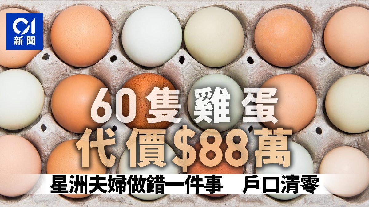 上網買雞蛋墮入詐騙陷阱 新加坡夫婦慘失88萬元 上網買雞蛋墮入詐騙陷阱 新加坡夫婦慘失88萬元