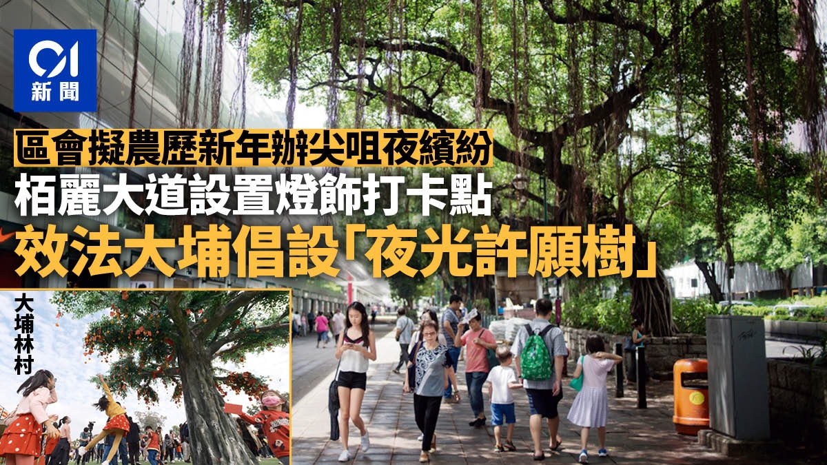 區議會｜擬辦尖咀夜繽紛設霓紅燈牌打卡點　效法大埔擺夜光許願樹