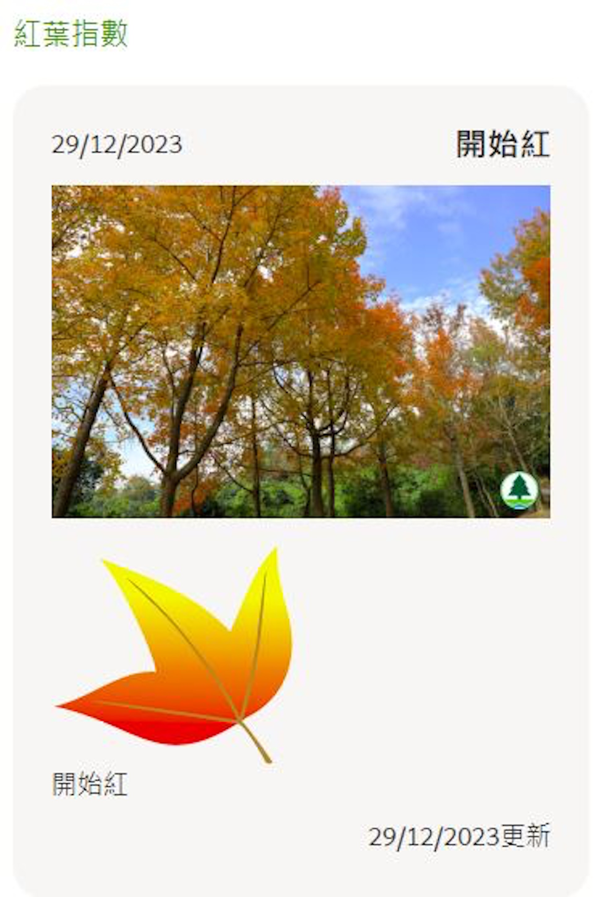 在2023年12月的最後一次更新,紅葉指數由「黃」轉為「開始紅」。(漁護署網站截圖) 在2023年12月的最後一次更新,紅葉指數由「黃」轉為「開始紅」。(漁護署網站截圖)